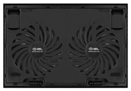 Подставка для ноутбука Digma D-NCP170-2 17"390x270x27мм 20дБ 2xUSB 2x 150ммFAN 600г черный