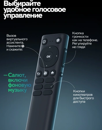 Телевизор LED Sber 32" SDX-32H3113 Салют ТВ Frameless черный HD 60Hz DVB-T DVB-T2 DVB-C DVB-S DVB-S2 USB WiFi Smart TV