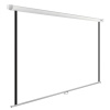 Экран Cactus 111" 200x200см WallExpert CS-PSWE-200x200-WT 1:1 настенно-потолочный рулонный
