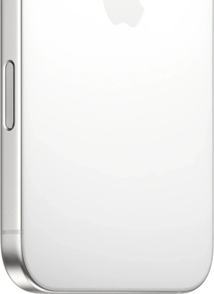 Смартфон Apple A3296 iPhone 16 Pro Max 256Gb белый титан моноблок 3G 4G 1Sim 6.9" 1320x2868 iOS 18 48Mpix 802.11 a/b/g/n/ac/ax/be NFC GPS Protect