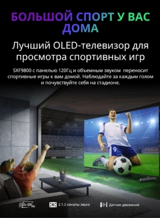 Телевизор OLED Skyworth 65" 65SXF9800 Frameless черный 4K Ultra HD 120Hz MEMC DVB-T DVB-T2 DVB-C DVB-S DVB-S2 USB WiFi Smart TV
