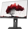 Монитор RDW Computers 23.8" RDW2402K/F00B3 черный IPS 5ms 16:9 HDMI M/M Cam матовая HAS Piv 250cd 178гр/178гр 1920x1080 75Hz DP FHD (RUS)