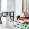 Кондиционер мобильный Electrolux Loft EACM-11 CL/N3 белый площ.27м2