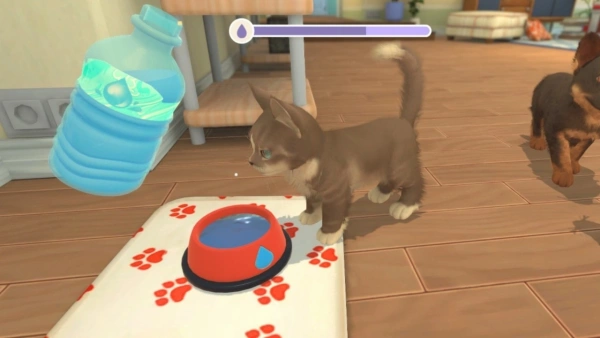 Игра для ПК Microids My Universe - Puppies & Kittens (6+)