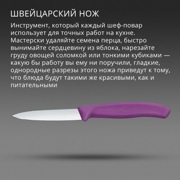 Нож кухонный Victorinox Swiss Classic 6.7605.C1 для чистки овощей и фруктов лезв.80мм прямая заточка пурпурный