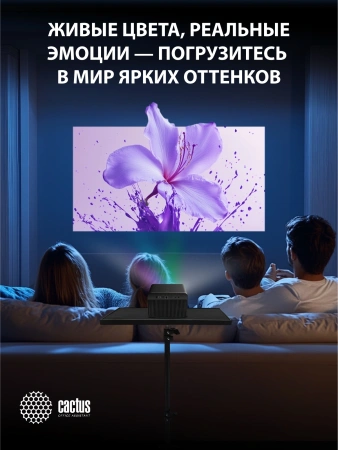 Проектор Cactus CS-H3.SG DLP 16800Lm LS 1050Lm ANSI (1920x1080) 200000:1 ресурс лампы:20000часов 1xUSB typeA 1xHDMI 3.1кг