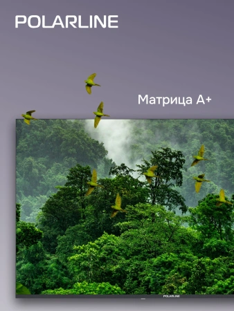Телевизор QLED PolarLine 65" 65PQ71STC-SM Frameless черный/серебристый 4K Ultra HD 60Hz DVB-T DVB-T2 DVB-C DVB-S2 USB WiFi Smart TV (RUS)