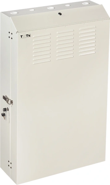Шкаф коммутационный Lanmaster (TWT-CBVRT-5U-6X7-GY) настенный 5U 650x250мм пер.дв.металл направл.под винты 68кг серый 505мм 741мм IP20 сталь