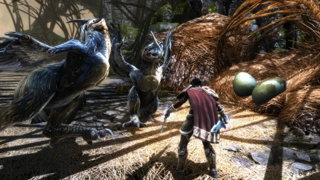 Дополнение к игре для ПК THQ Nordic Kingdoms of Amalur: Re-Reckoning - Fatesworn (16+)