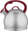 Чайник металлический Rondell Eletto RDS-1825 3л. стальной
