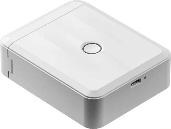 Термопринтер Niimbot D110 M (1746733) 203dpi 40мм/с/USB/BT для печ.этик. белый
