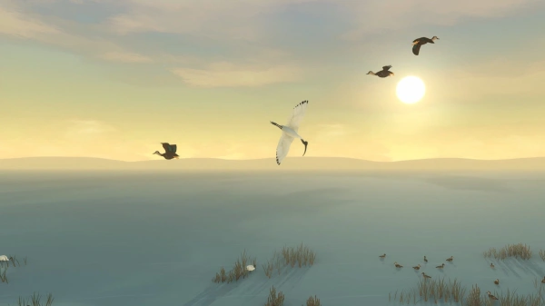 Игра для ПК Blowfish Studios Storm Boy (12+)