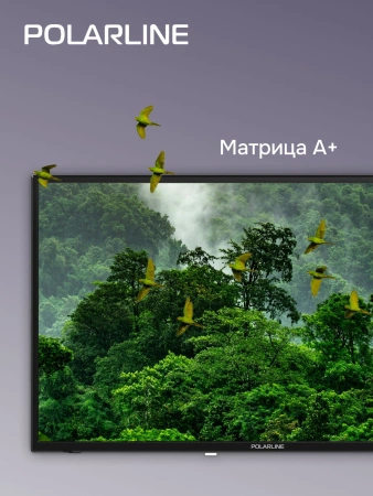 Телевизор LED PolarLine 32" 32PL13TC-SM черный HD 60Hz DVB-T DVB-T2 DVB-C USB WiFi Smart TV (RUS)