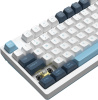 Клавиатура A4Tech FS300 механическая белый/синий USB for gamer LED (FS300 PANDA SNOWBOARDING) кабель 1.8м